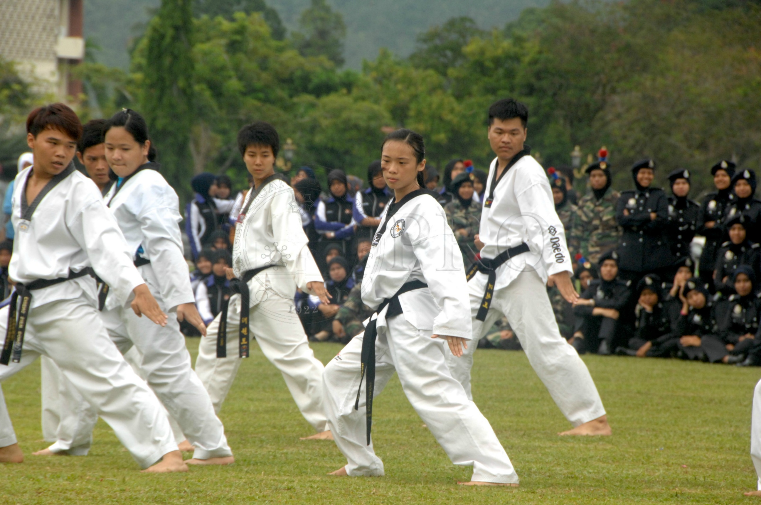 PRO 14 43 KKO IDA 1006